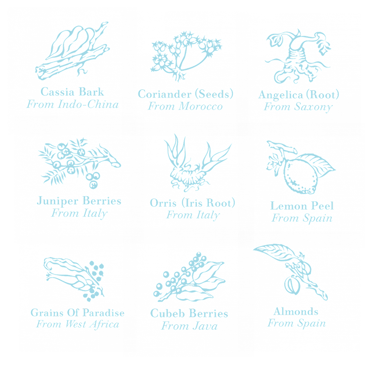 Fizzy Peachtree Image